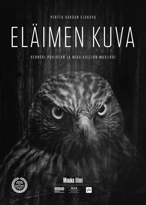 Eläimen kuva