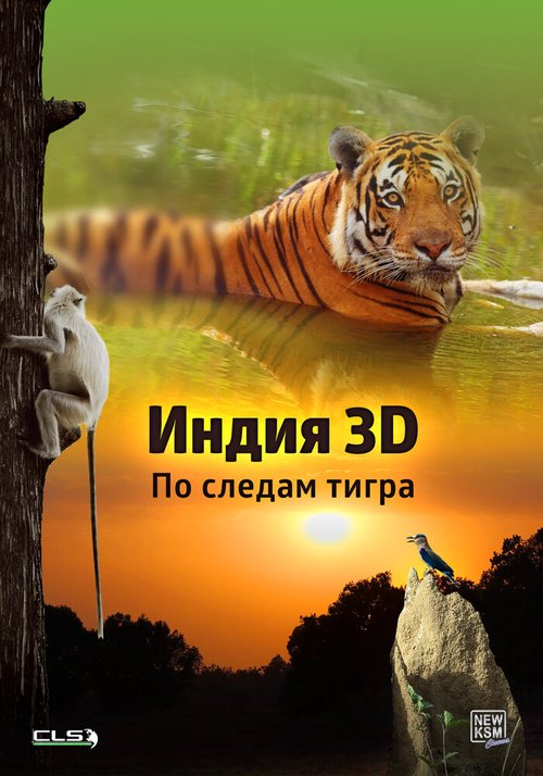 Индия 3D: По следам тигра