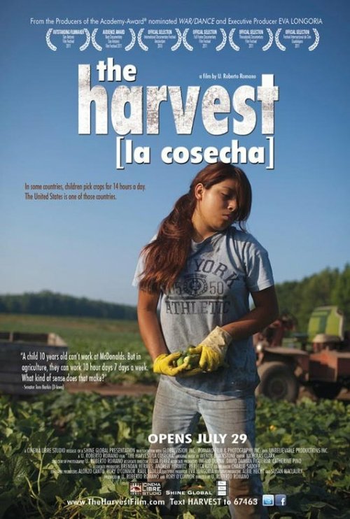 The Harvest/La Cosecha