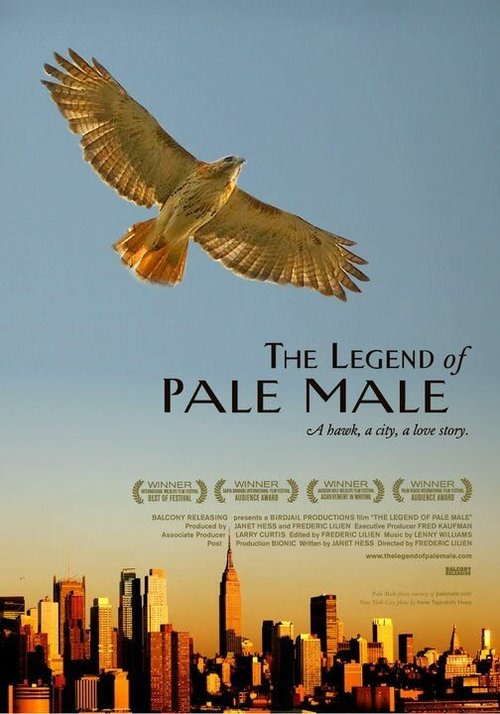 The Legend of Pale Male