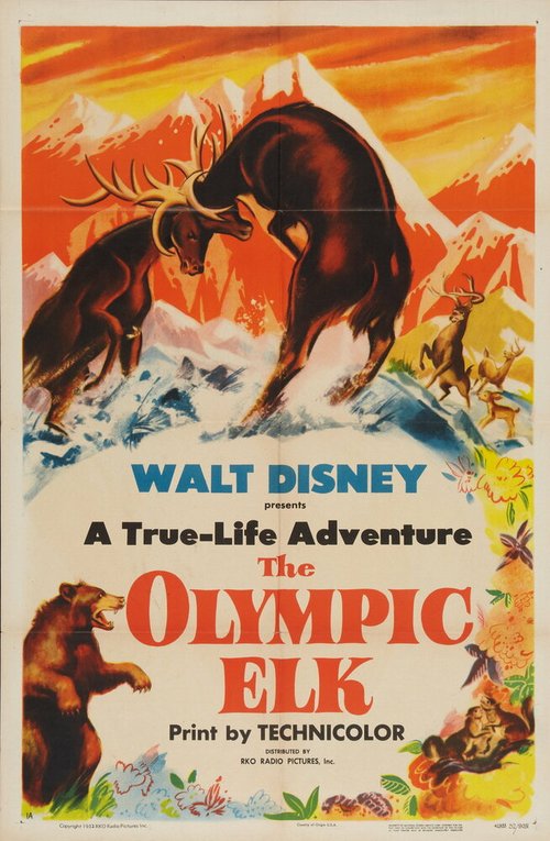 The Olympic Elk