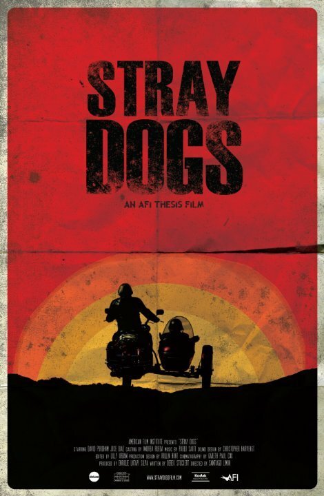 Stray Dogs