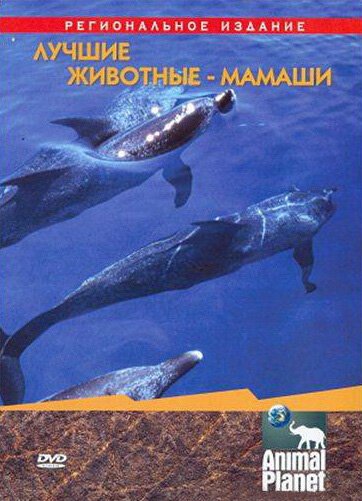 Animal Planet. Лучшие животные-мамаши