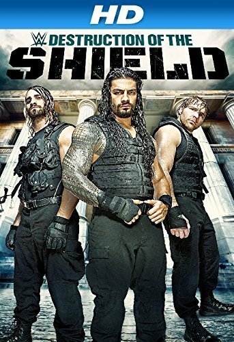 Journey to SummerSlam: The Destruction of the Shield